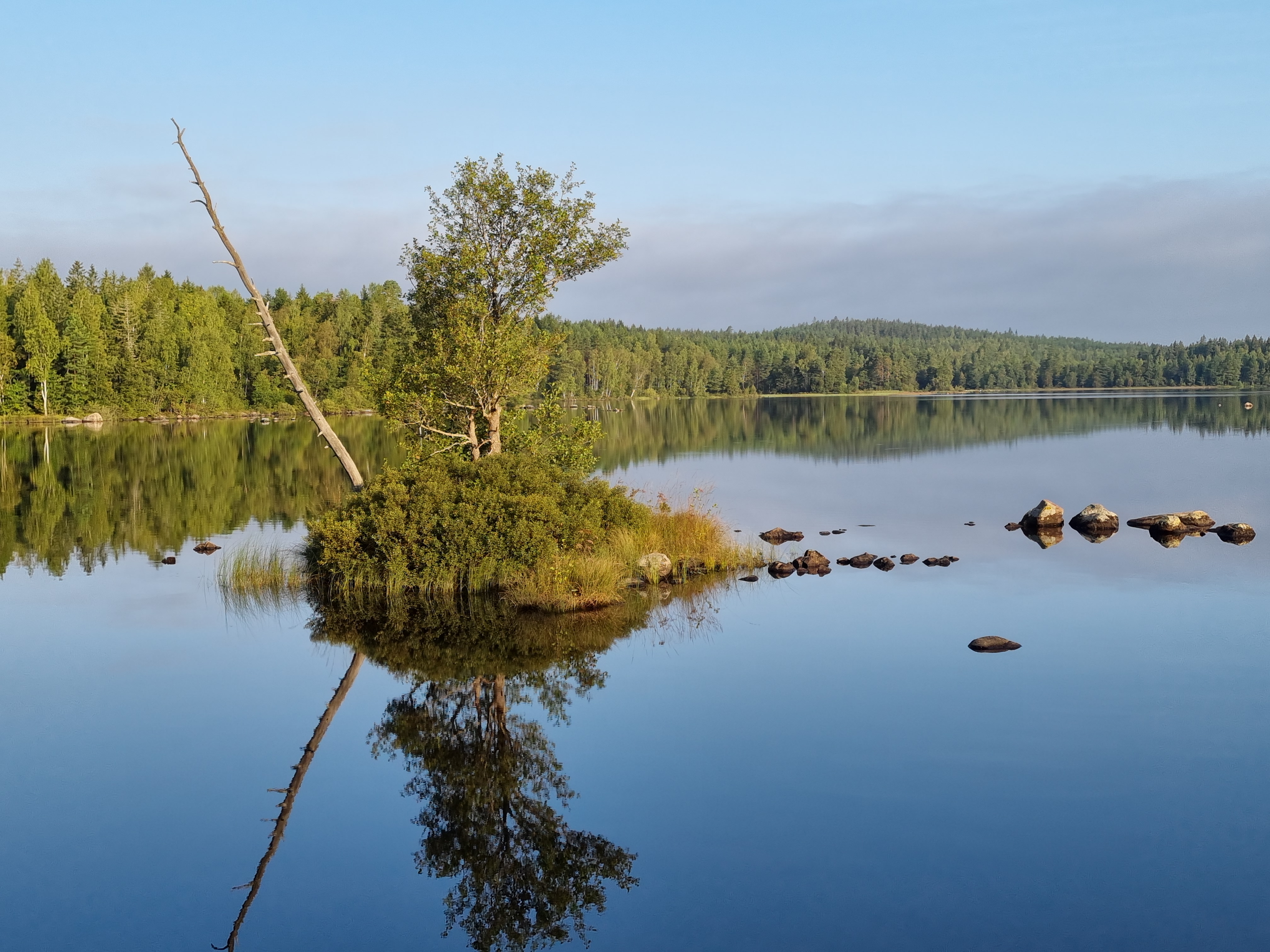 Bild på Älgasjön med ö en stilla dag.